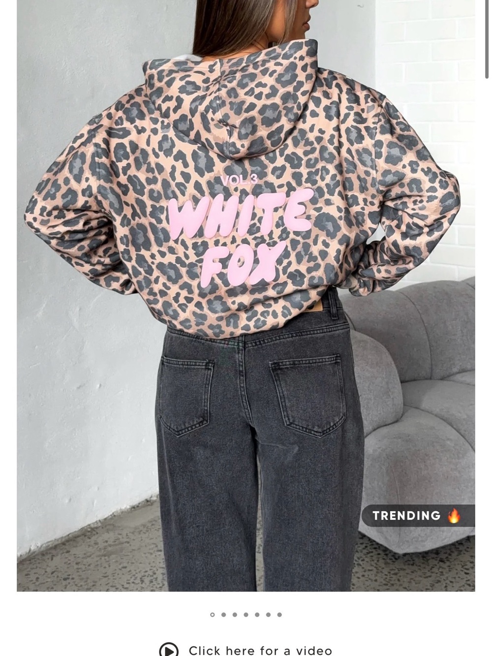 Wildfox Pink Leopard Print Hoodie with Back Script